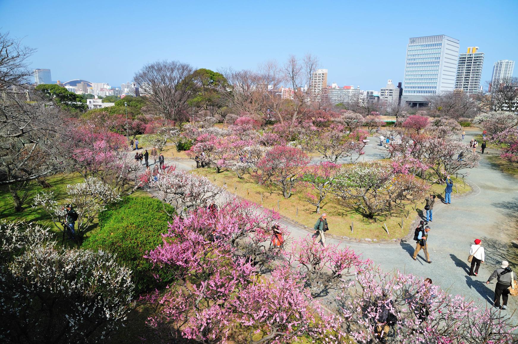 舞鶴公園-1