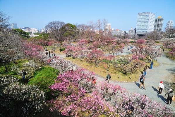 Maizuru Park-3