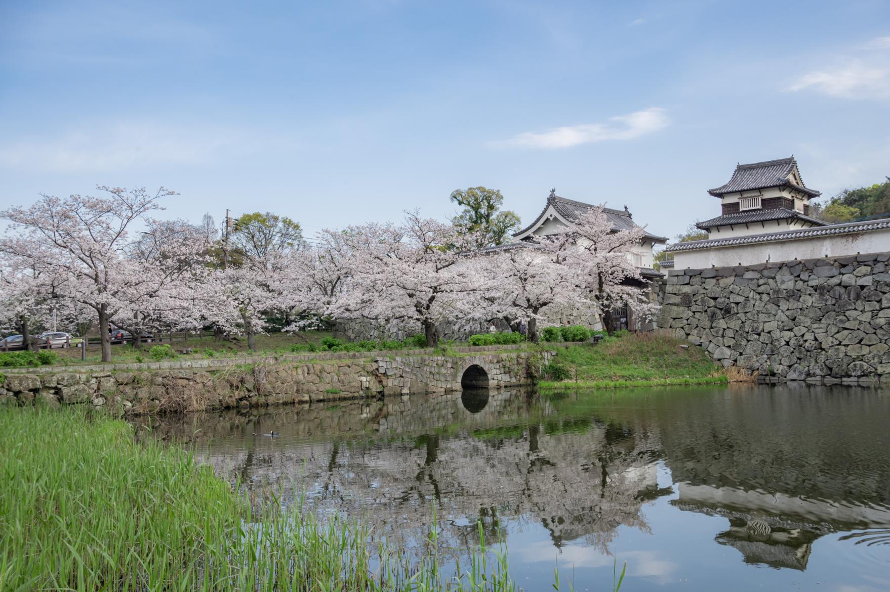 Maizuru Park-3