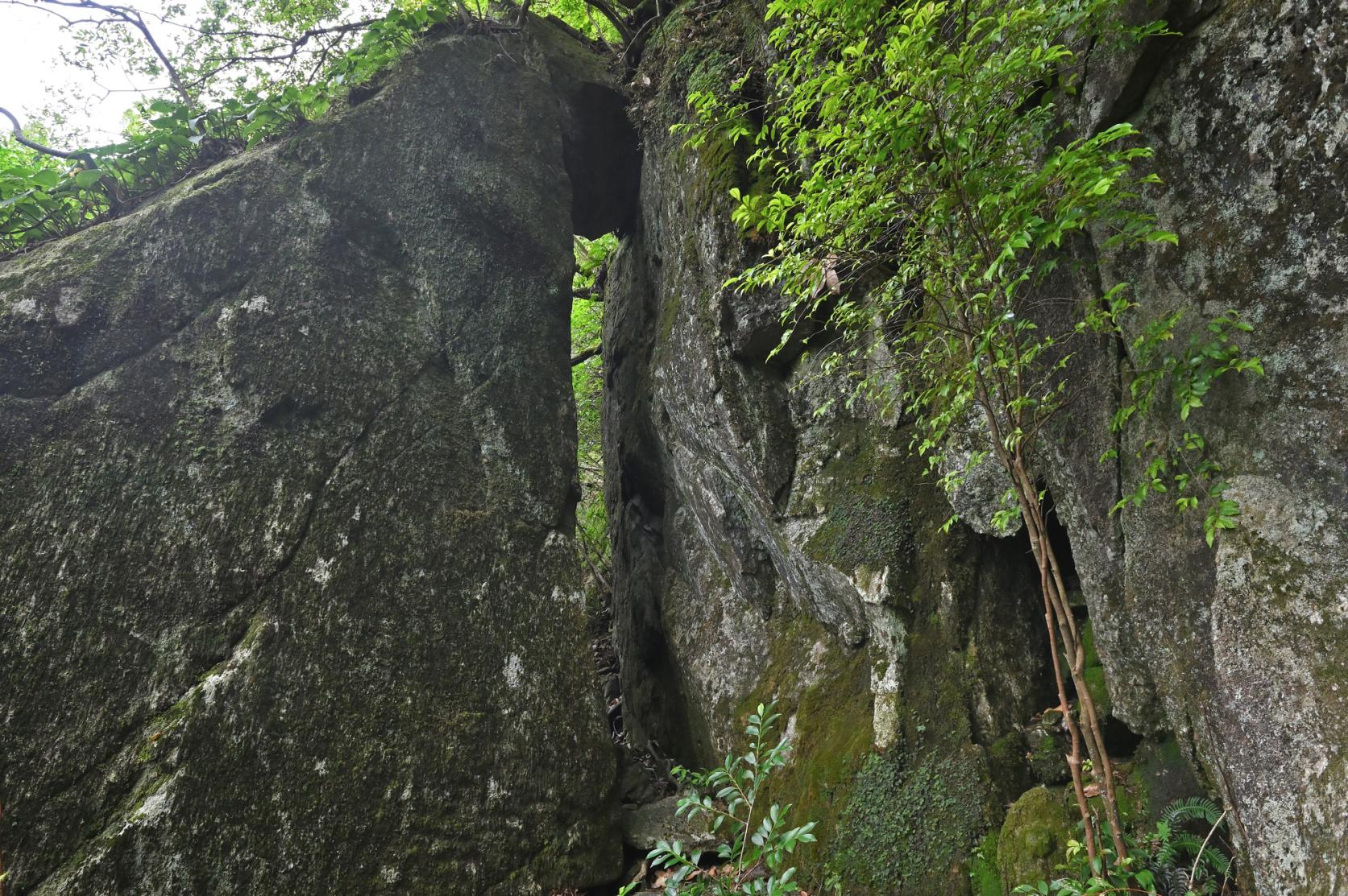 宝满山-6