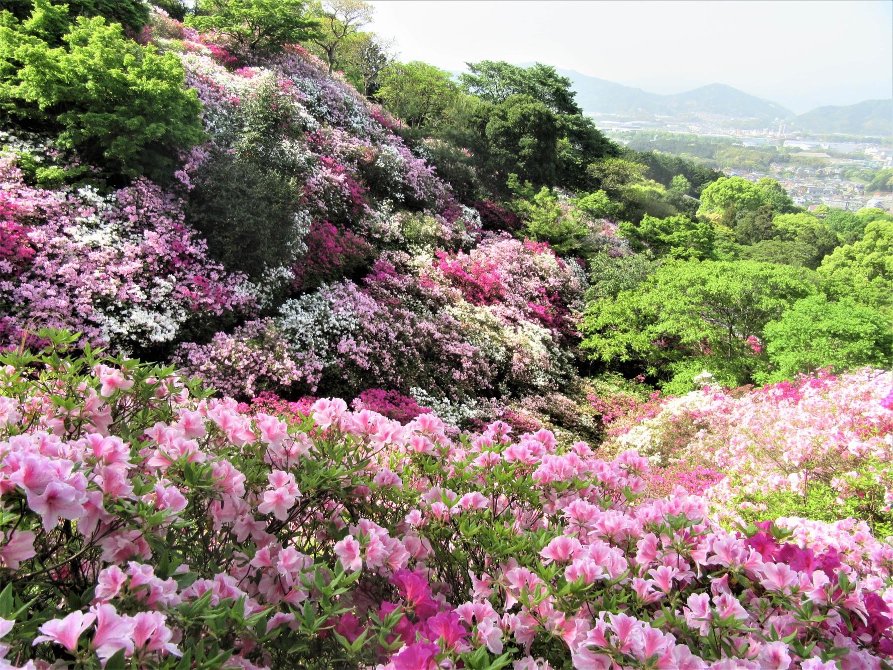 皿山公園