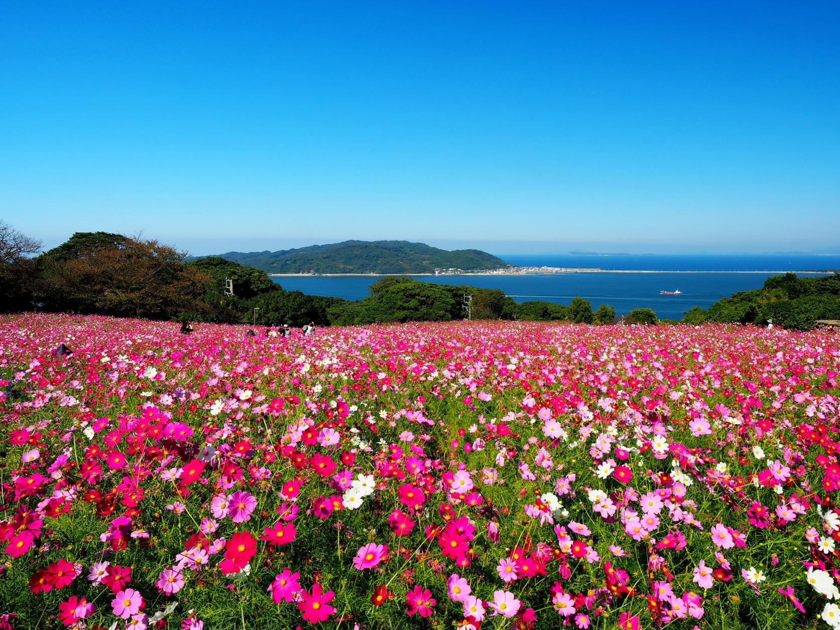 能古島-1