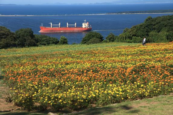 Nokonoshima (islands)-9