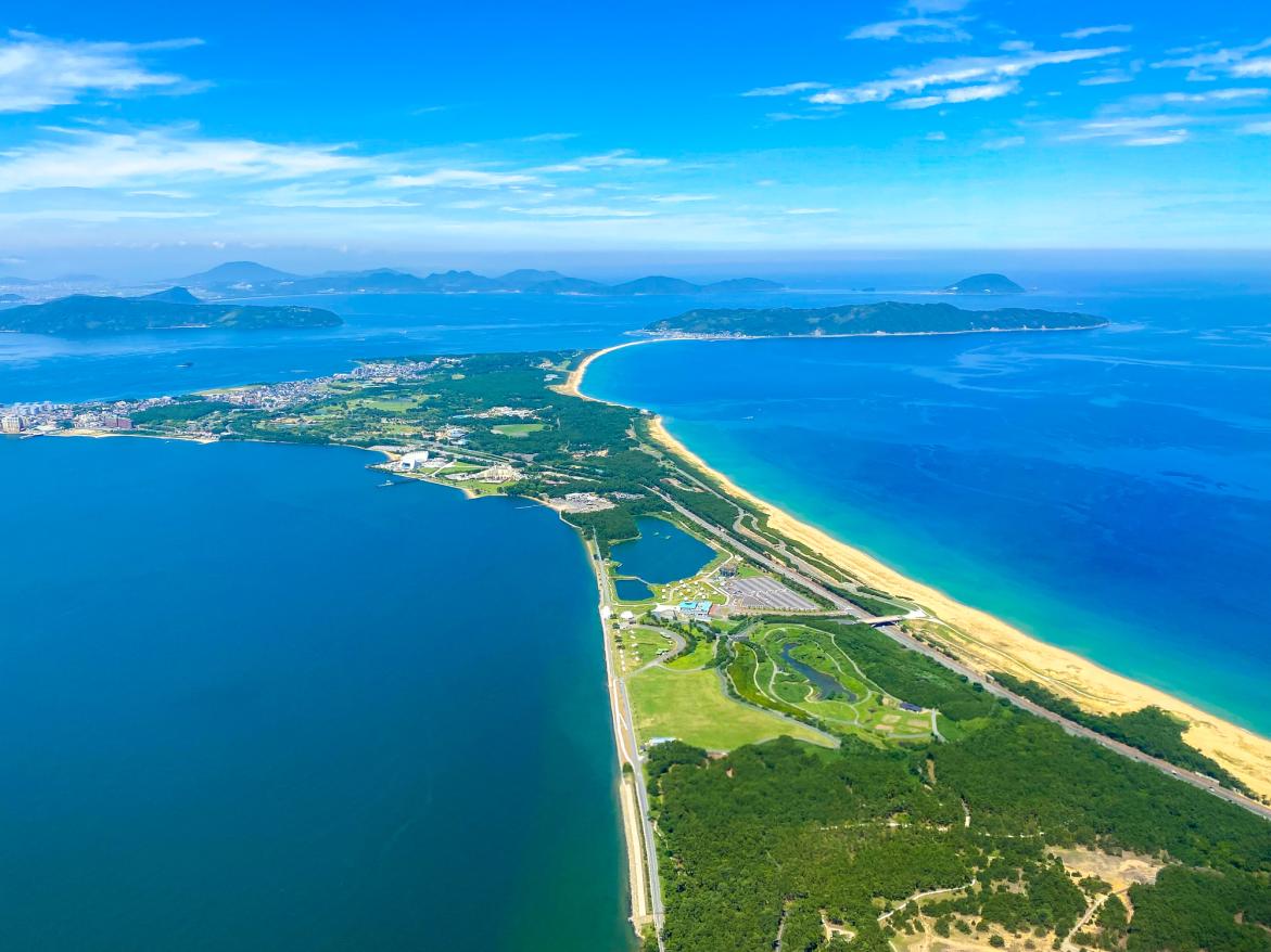 【海の中道海浜公園】海の中道フラワーピクニック2026 | イベント | 【公式】福岡県の観光/旅行情報サイト「クロスロードふくおか」