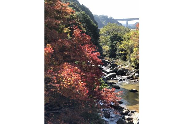 Autumn Leaves of Chikushi-Yabakei-3