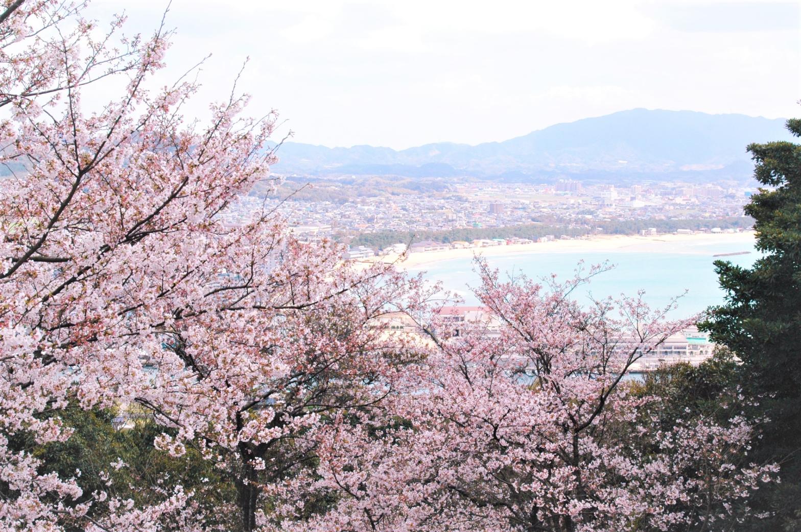 大峰山自然公園から望む景色