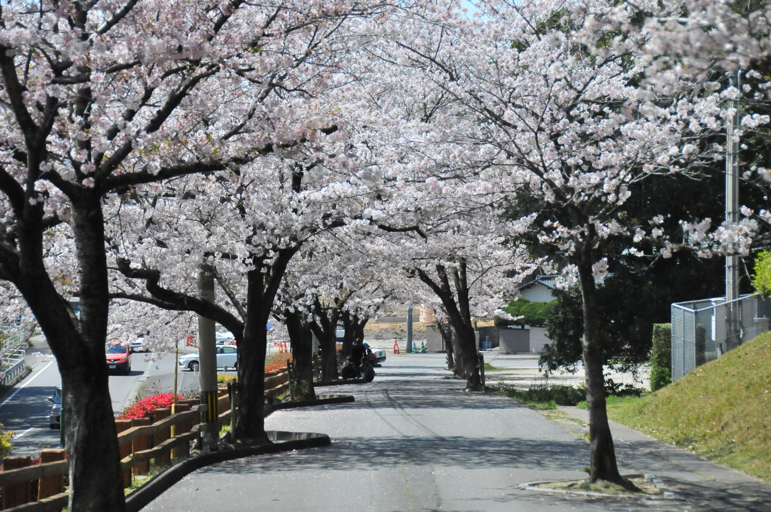 宇美公園