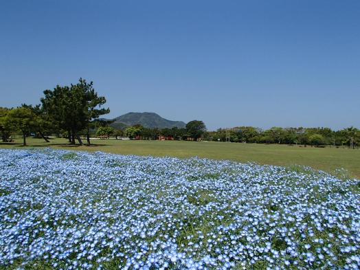 今津運動公園-1