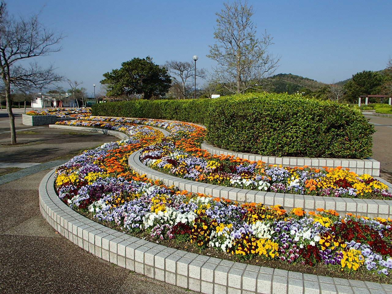 今津運動公園