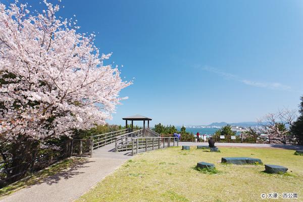 Nishi (West) Park-4