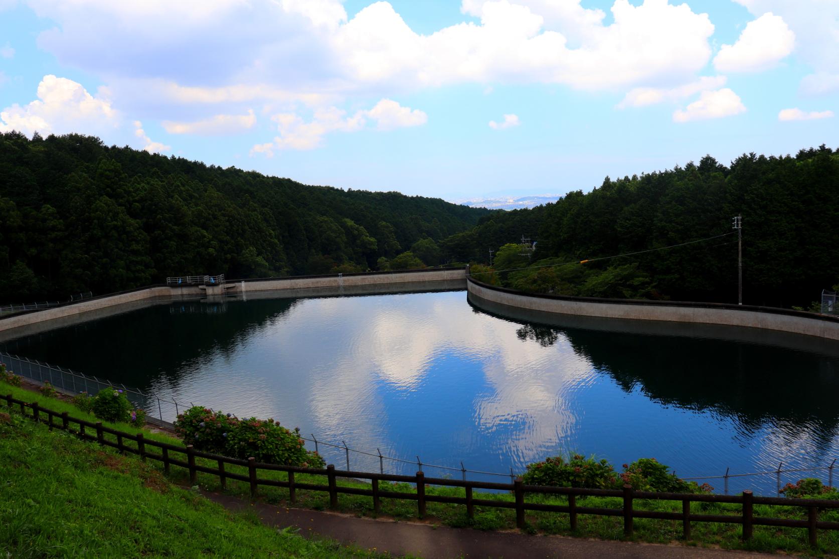 Ipponmatsu Park (Showa Forest)-5