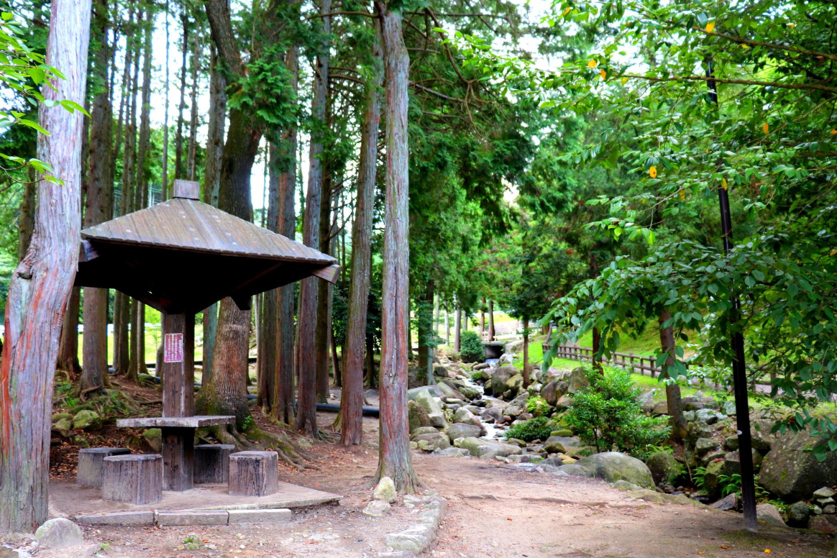 Ipponmatsu Park (Showa Forest)-4