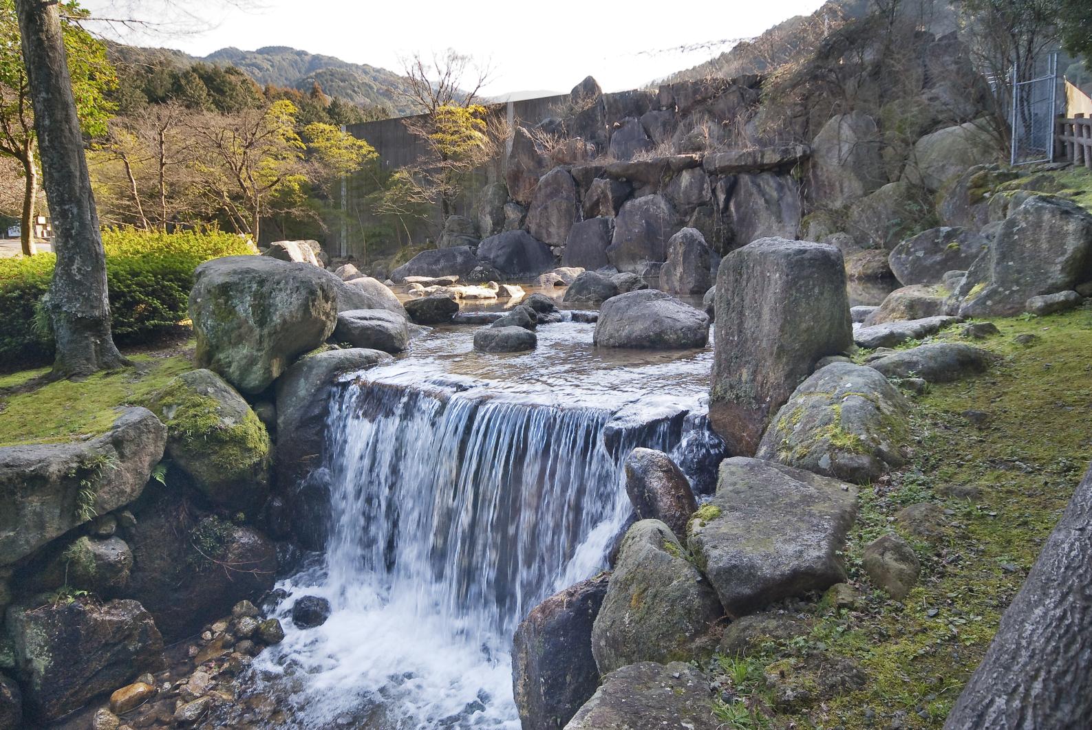 一棵鬆公園(昭和之林)-1