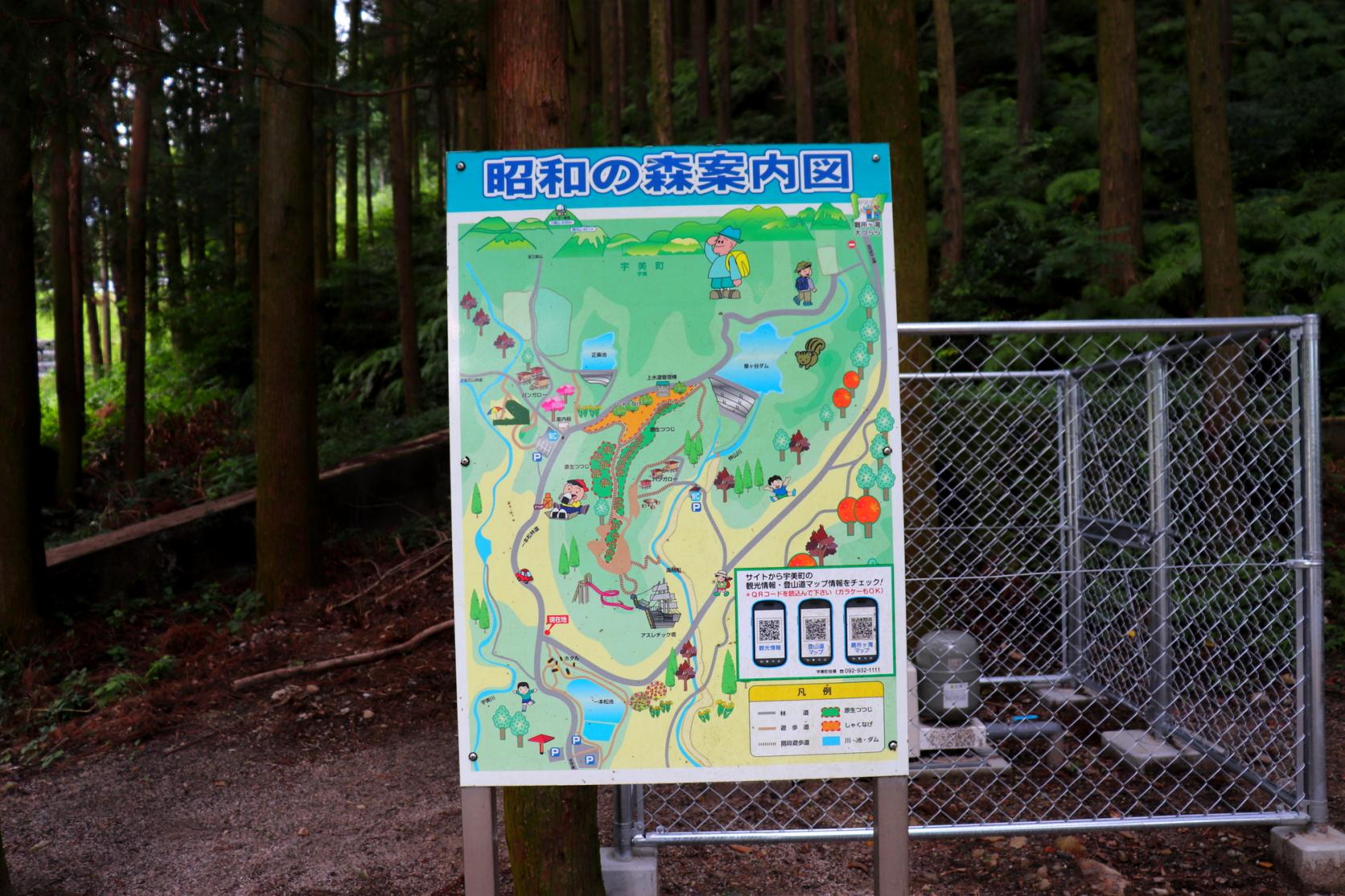 Ipponmatsu Park (Showa Forest)-6