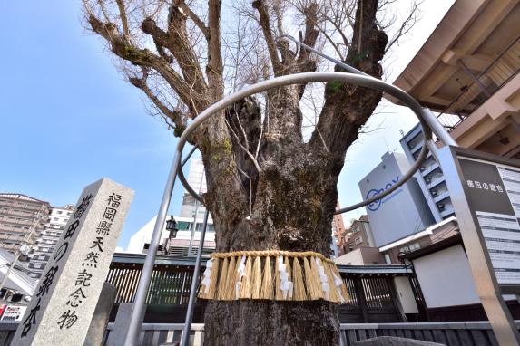 梳田神社-1