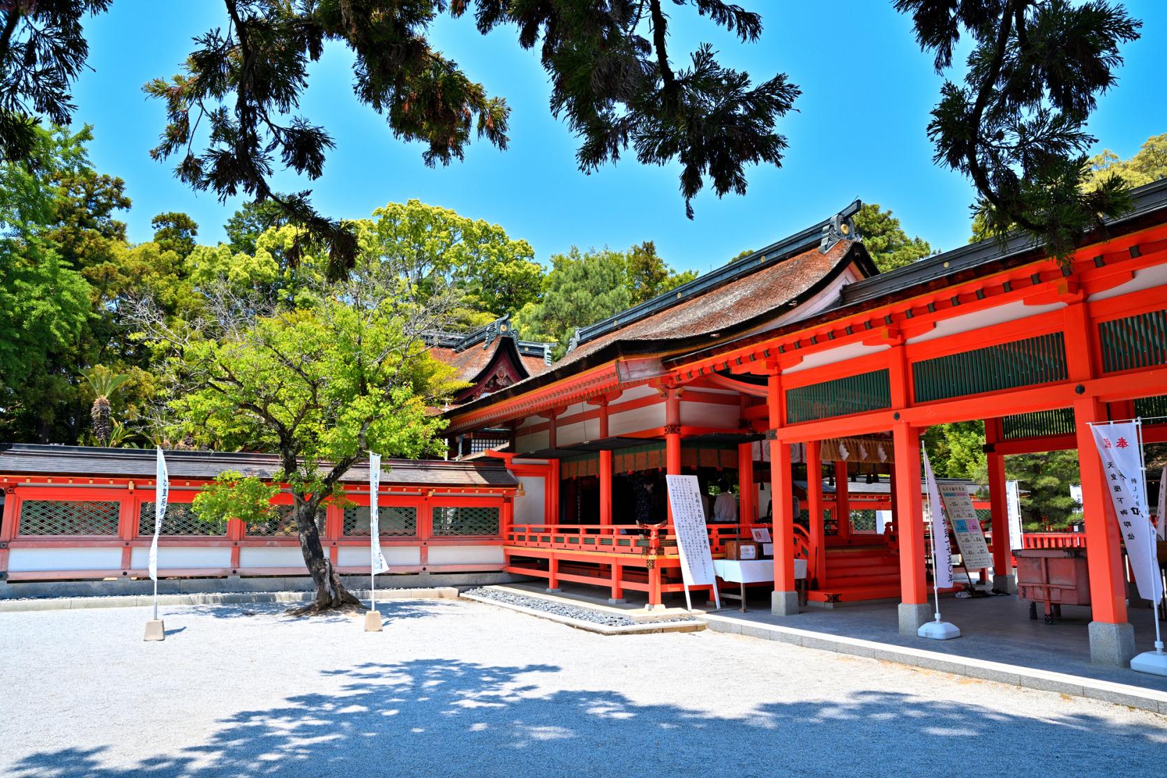 Kashii-gu Shrine-1