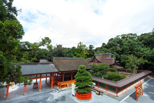 Kashii-gu Shrine-0