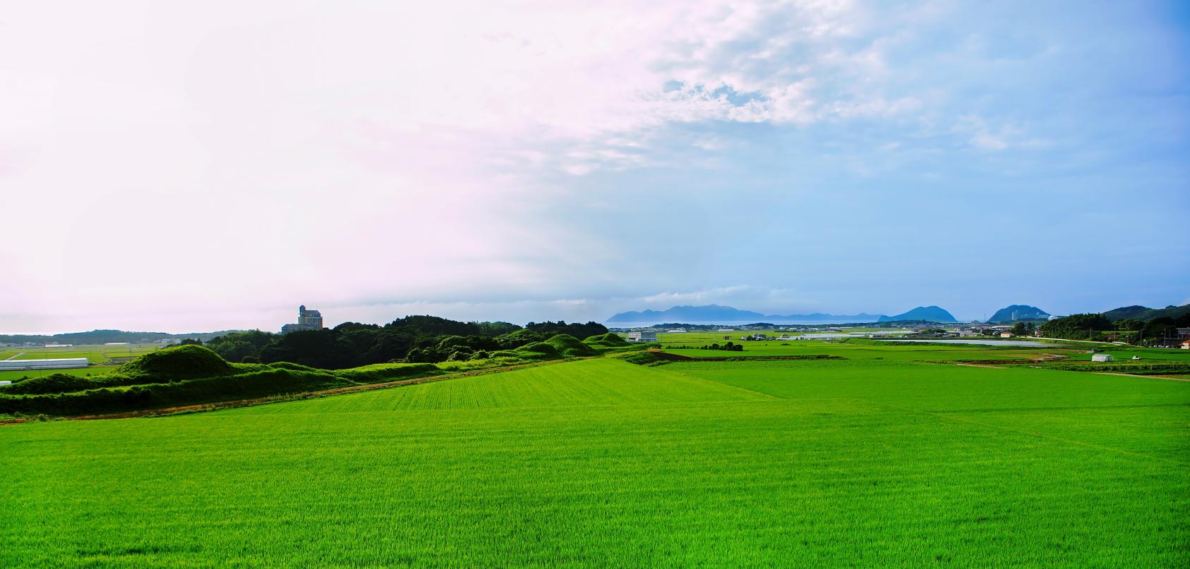 新原・奴山古墳群-6