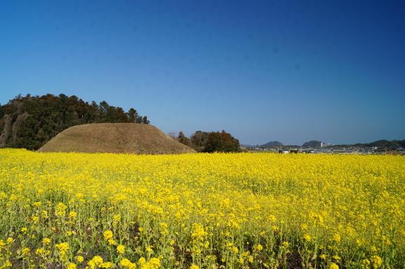 新原・奴山古墳群-0