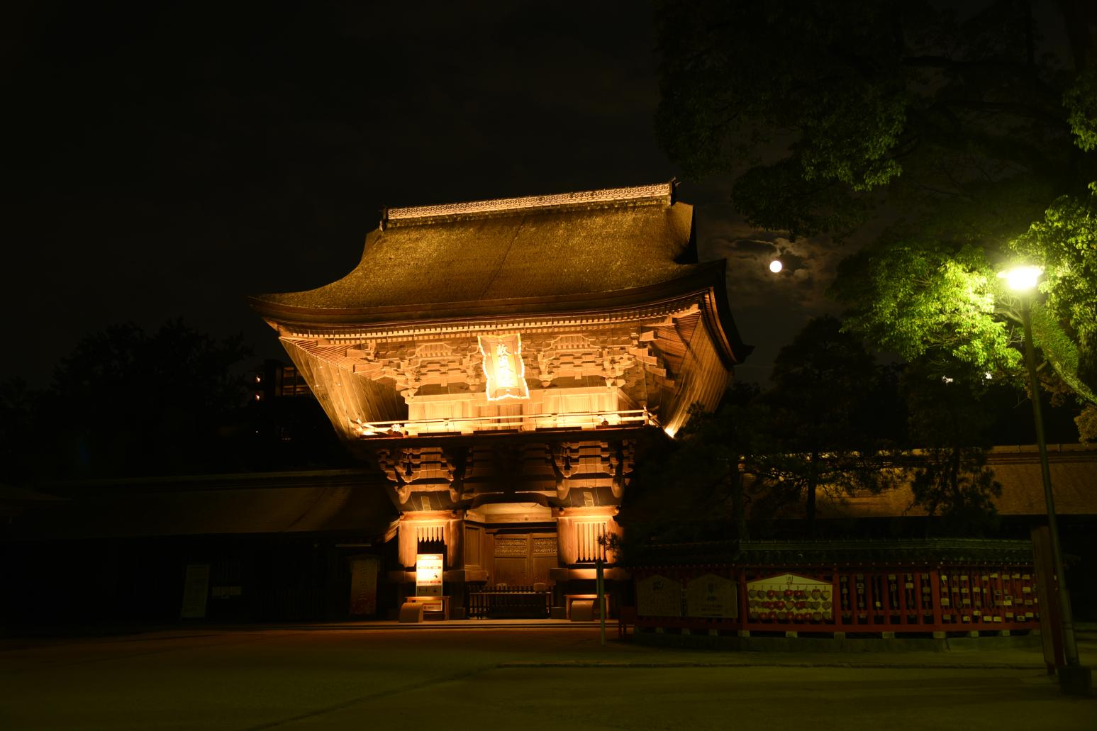 Hakozakigu Shrine-4