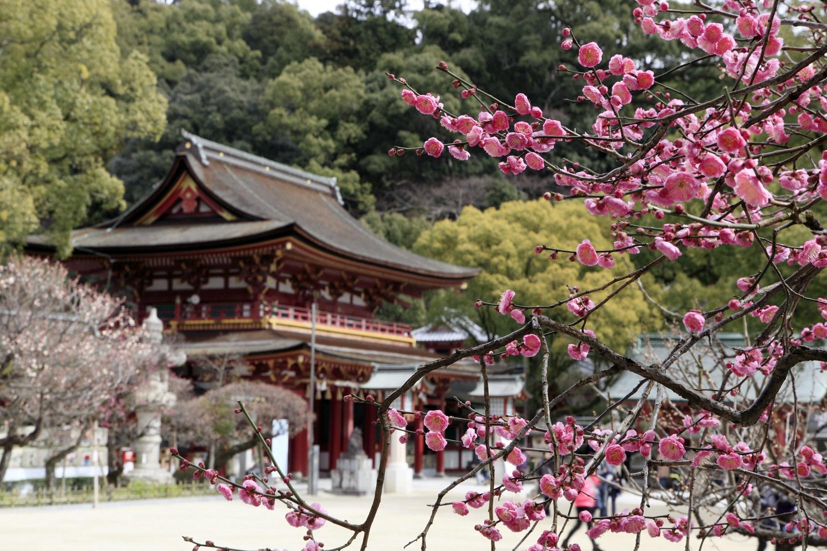 Dazaifu Tenmangu Shrine-2