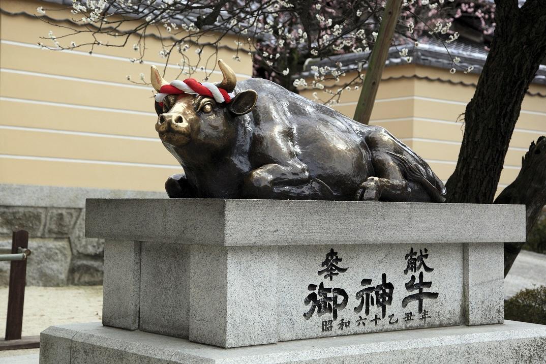 Dazaifu Tenmangu Shrine-6