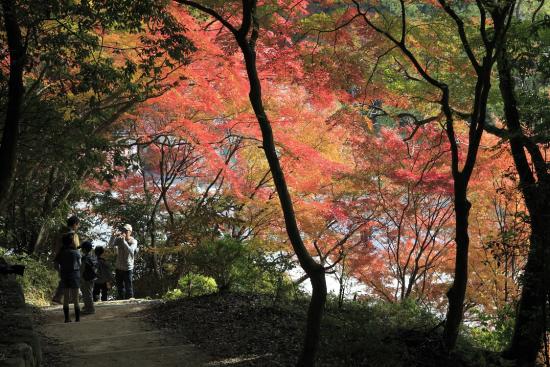 太宰府天満宮-9
