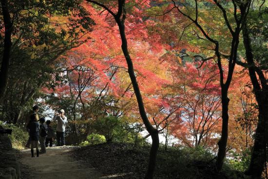 Dazaifu Tenmangu Shrine-9