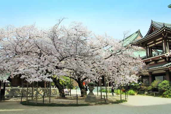 Tochoji Temple-8