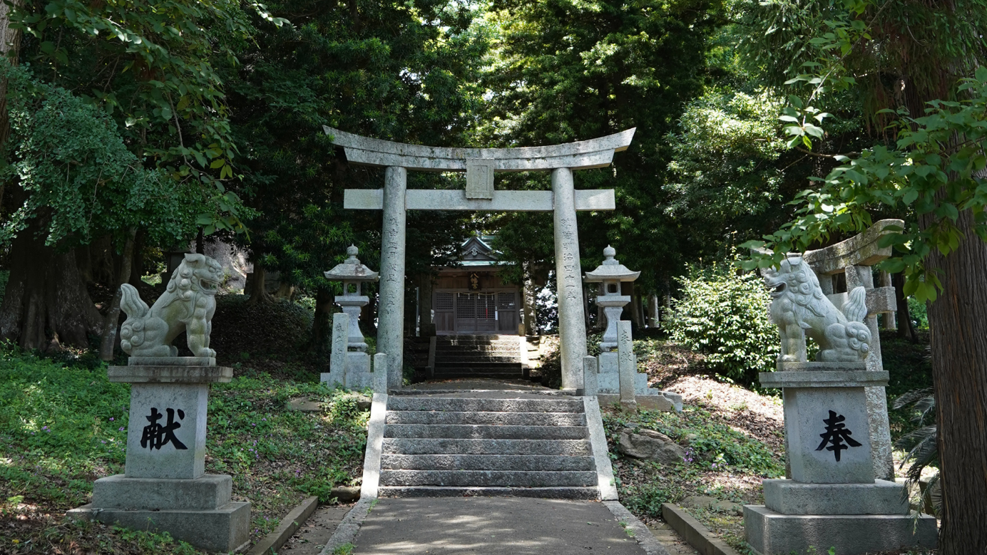 光岡八幡宮の大楠-1