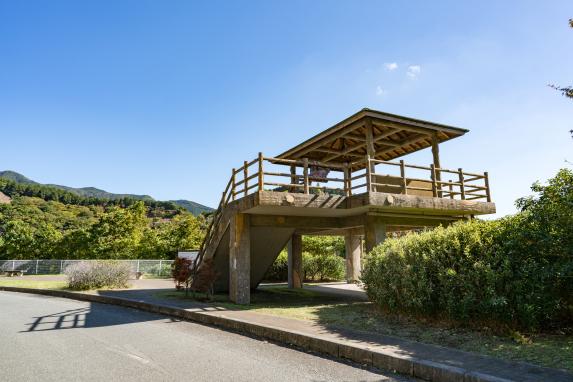 樹芸の森公園-0