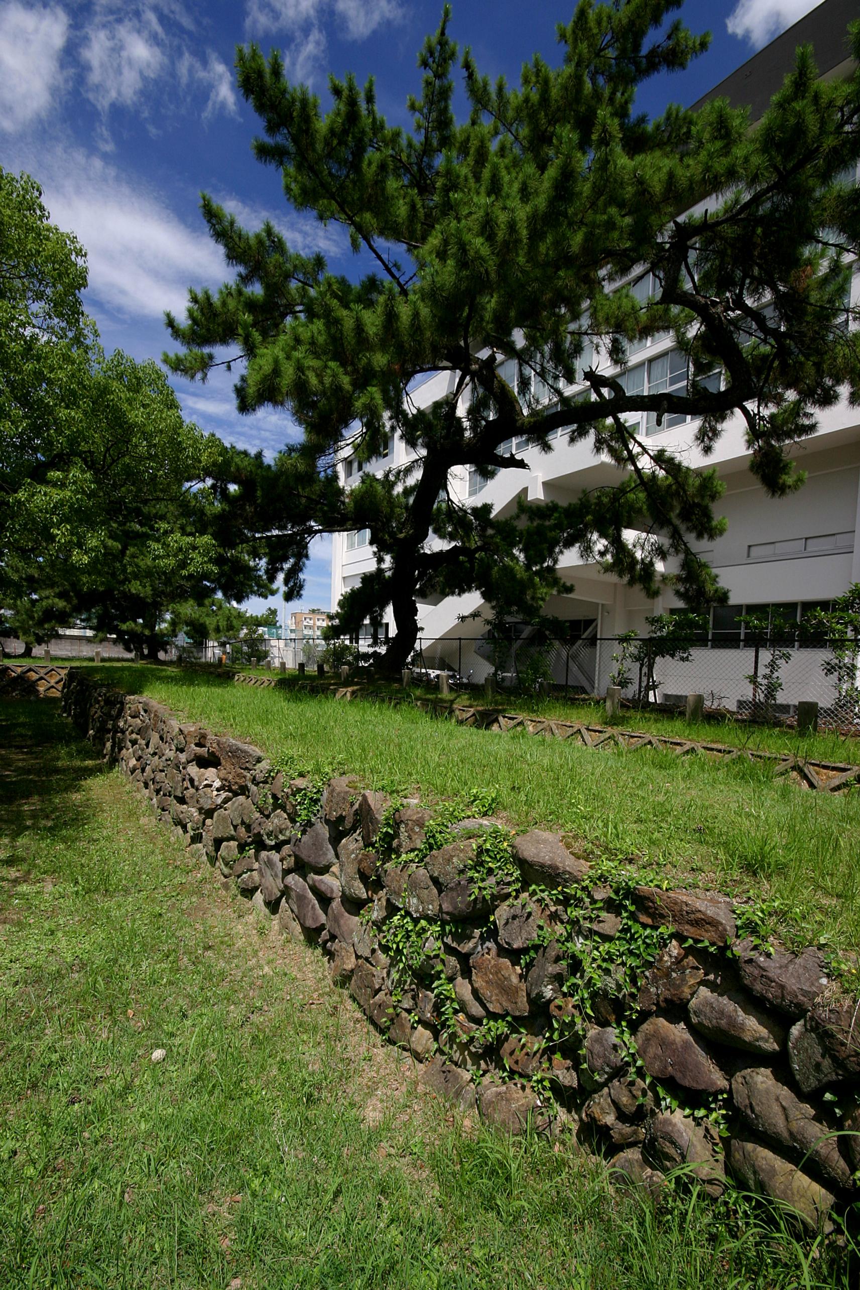 Genko Wall （Nishijin, Ikinomatsubara, Imazu)