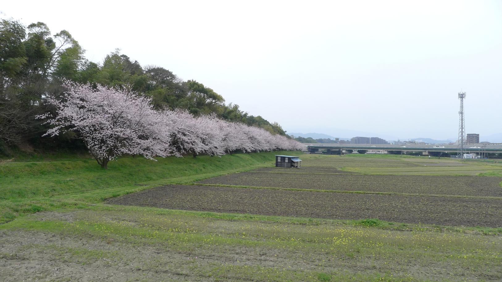 水城跡-2