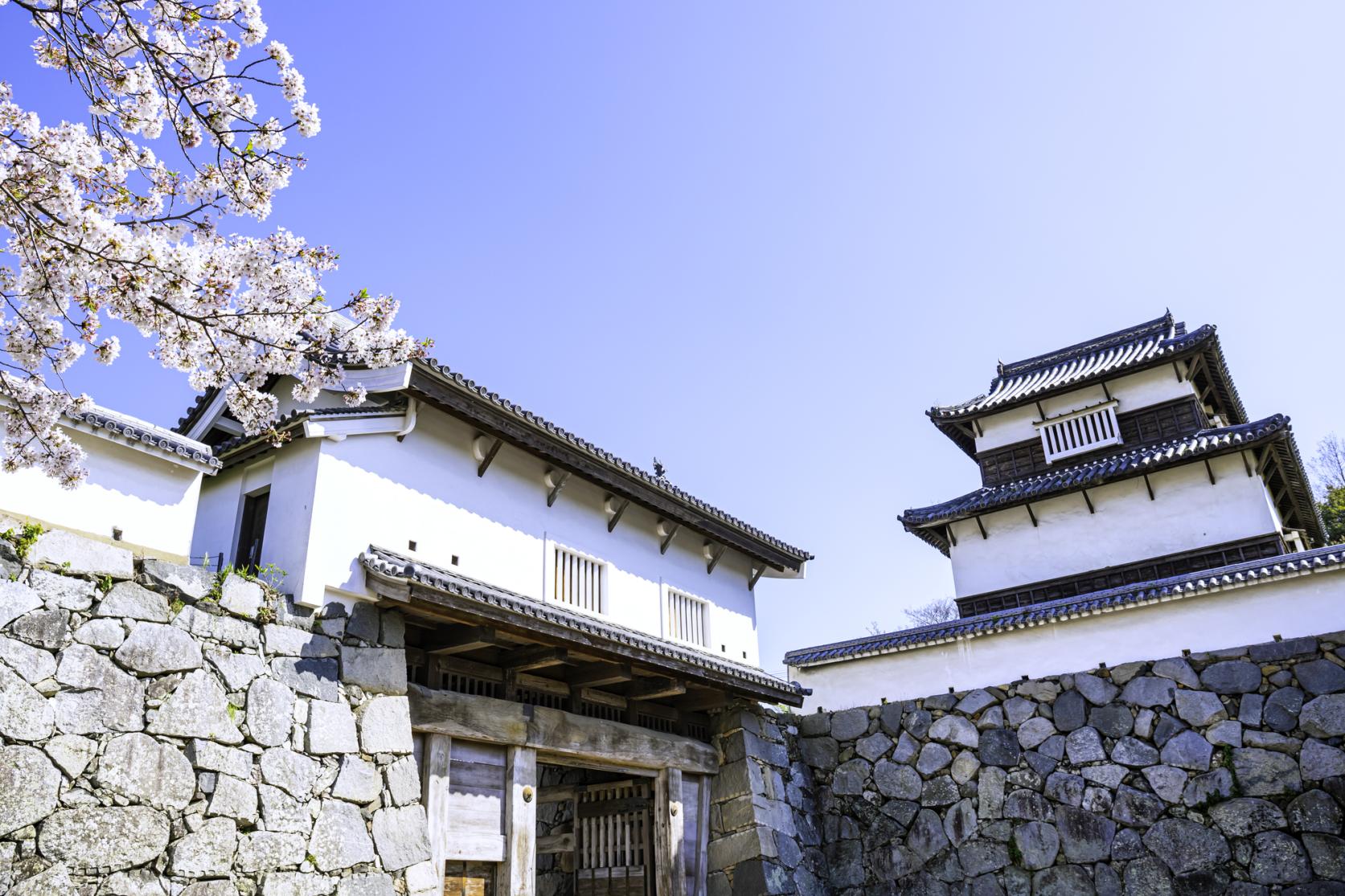 Fukuoka Castle Ruins-1