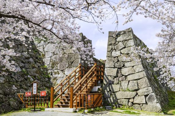 Fukuoka Castle Ruins-3