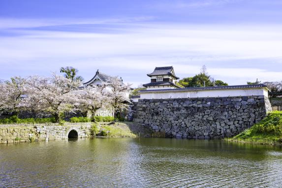 Fukuoka Castle Ruins-6