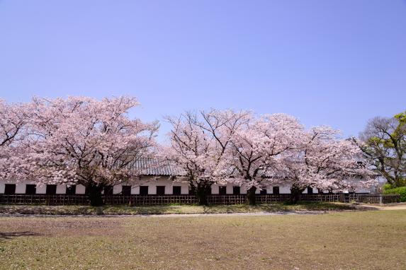 福岡城址-7