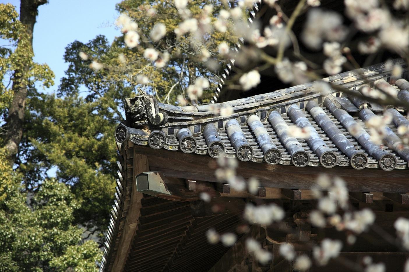 Kanzeonji Temple Bell-2