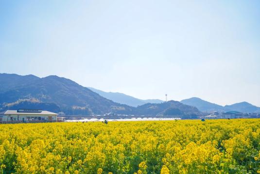 후쿠요시 후레아이 교류 센터 후쿠후쿠노사토-1