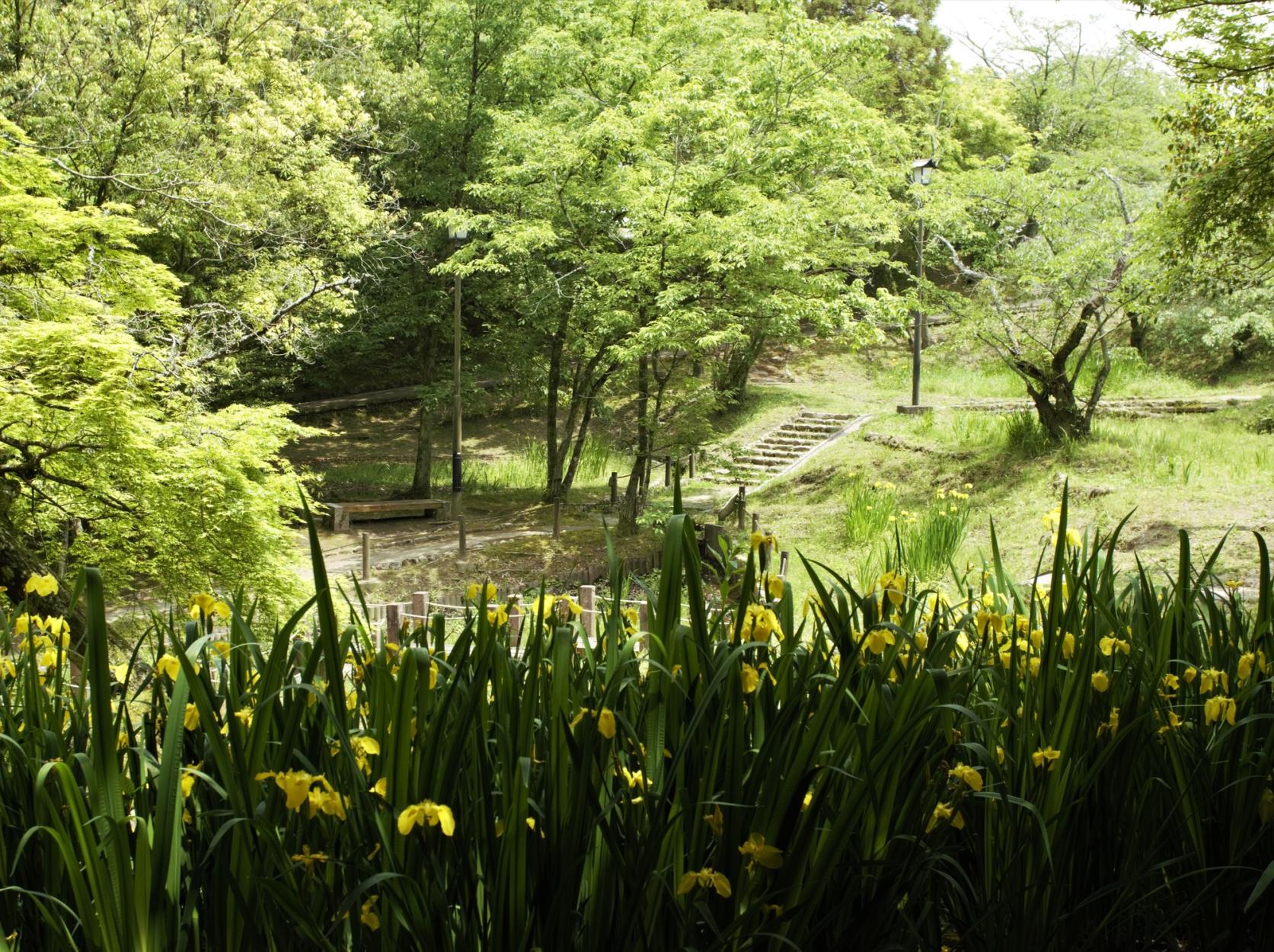 天拜山历史自然公园-1