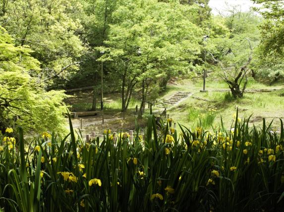 天拝山歴史自然公園-1
