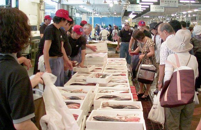 Nagahama fresh fish market-1