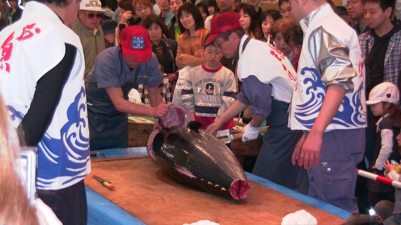 Nagahama fresh fish market-3