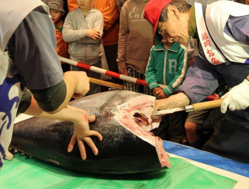 Nagahama fresh fish market-2