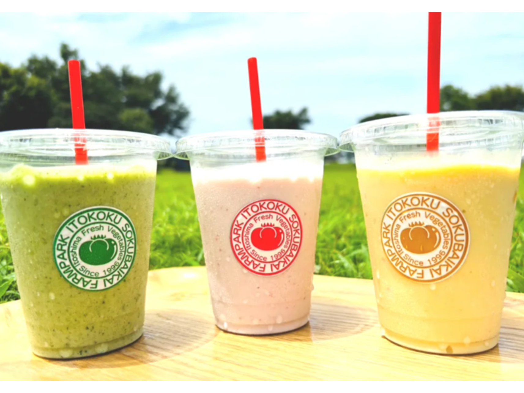 糸島市農業公園　ファームパーク伊都国-8