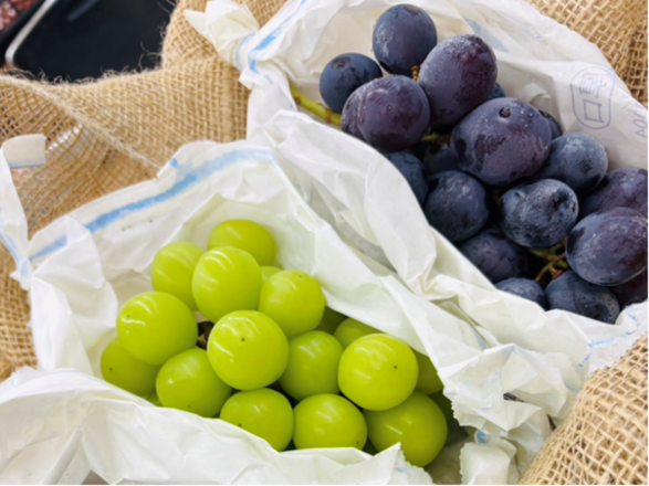 糸島市農業公園　ファームパーク伊都国-6