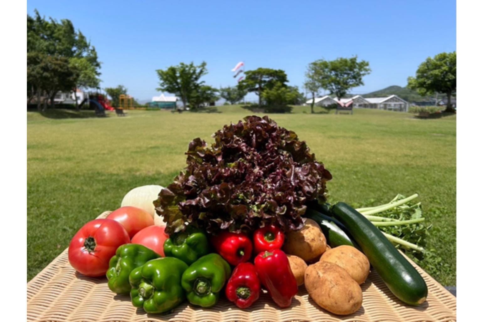 糸島市農業公園　ファームパーク伊都国-4