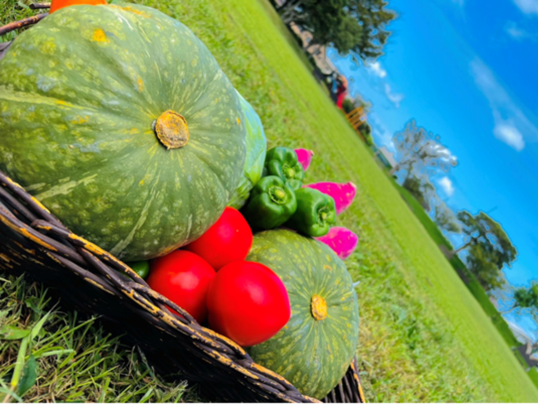 糸島市農業公園　ファームパーク伊都国-5