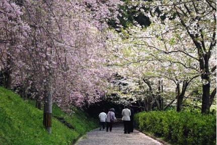 ほたるの里（本木川自然公園）-1