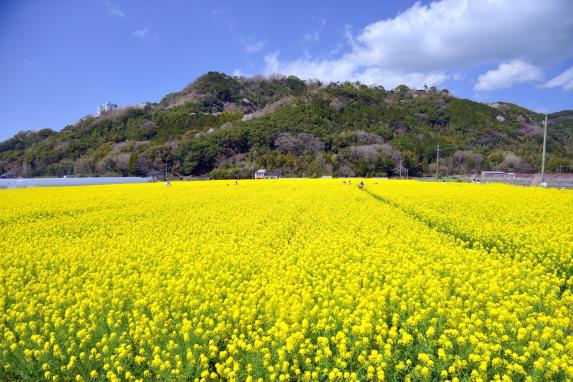 道车站"原鹤" 巴萨罗农场站-1